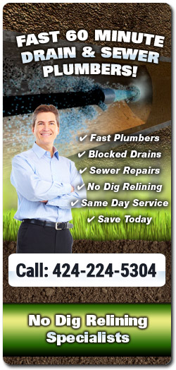 Drain Kings Los Angeles